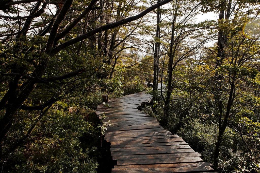 Patagonia Camp Ξενοδοχείο Torres del Paine National Park Εξωτερικό φωτογραφία